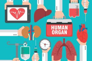 organ-donation-illustration-750