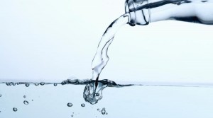 blog_purity