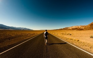 traveller