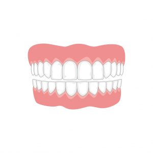 Jaw with teeth on white background, medicine concept.