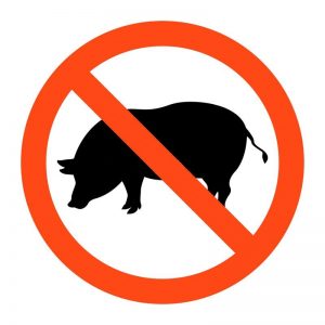 pig