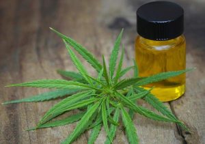 cannabis-oil