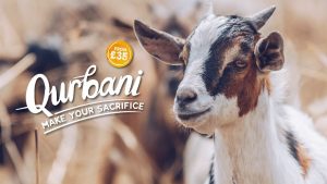 qurbani