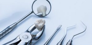 tooth